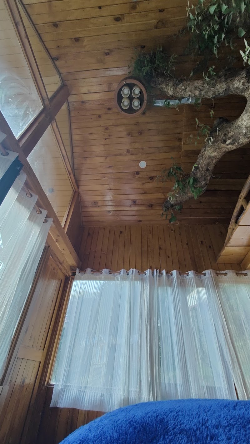 Little Wood Tree House - Little Wood Tree House Village Kandi Po. Tandi, Tehsil, Banjar, Jibhi, Himachal Pradesh 175123, India