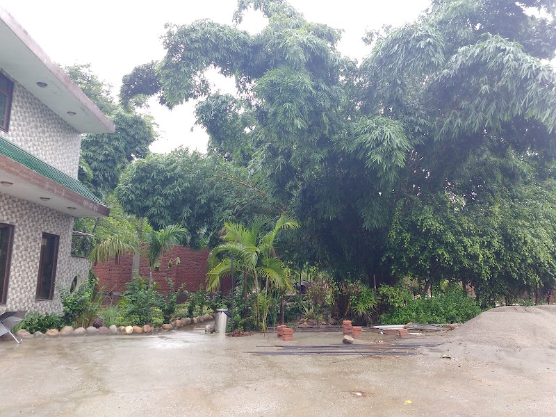 Jim Corbett Jeep Safari Booking - Jim Corbett Jeep Safari Booking Jhirna Gate Road Himmatpur Dotiyal, Dhela Rd, Sawal Deh East, Sewal Khaliya, Uttarakhand 244715, India