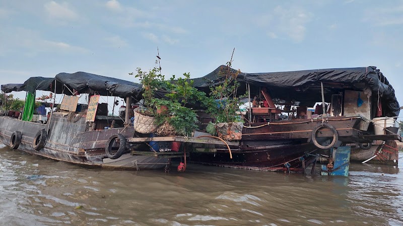 Mekong Lifes Travel - Mekong Lifes Travel, 14A3 Đ. 30 Tháng 4, Ninh Kiều, Cần Thơ, Vietnam