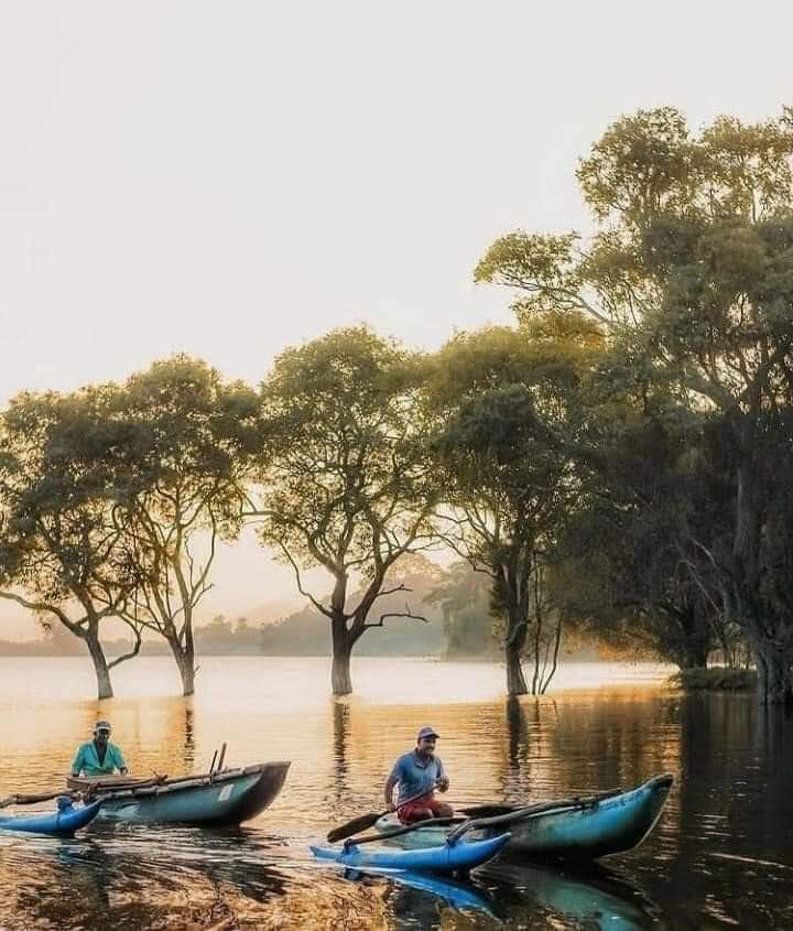 Kandalama - Kandalama Kandalama, Sri Lanka