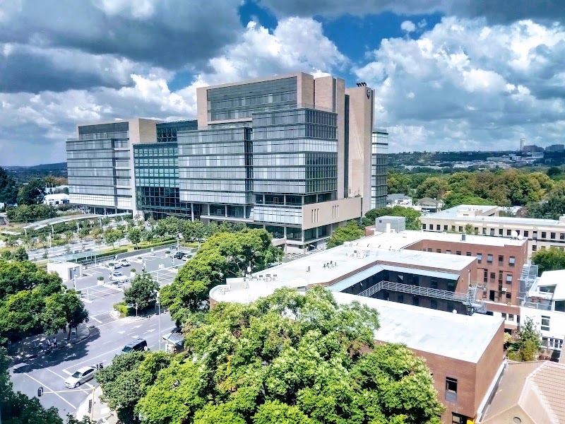 Rosebank - Rosebank, Johannesburg, 2196, South Africa