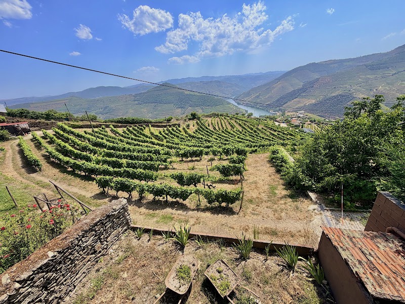 Douro Valley Wine Tours - Douro Valley Wine Tours, R. das Mimosas 4510, 4510-607 São Pedro da Cova, Portugal