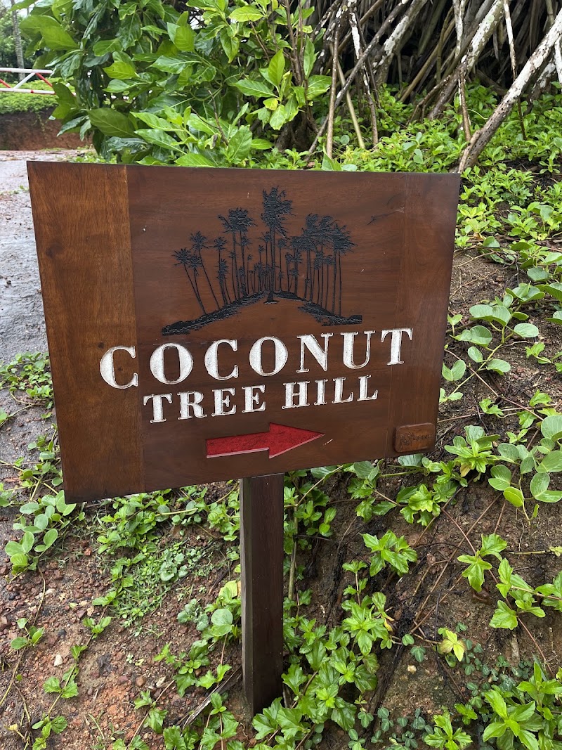 Coconut Tree Hill - Coconut Tree Hill Mirissa, Sri Lanka