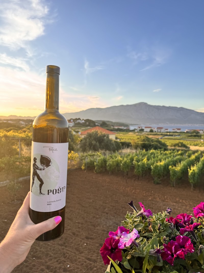 Popić Winery - Popić Winery, Mala postrana 475, 20263, Lumbarda, Croatia