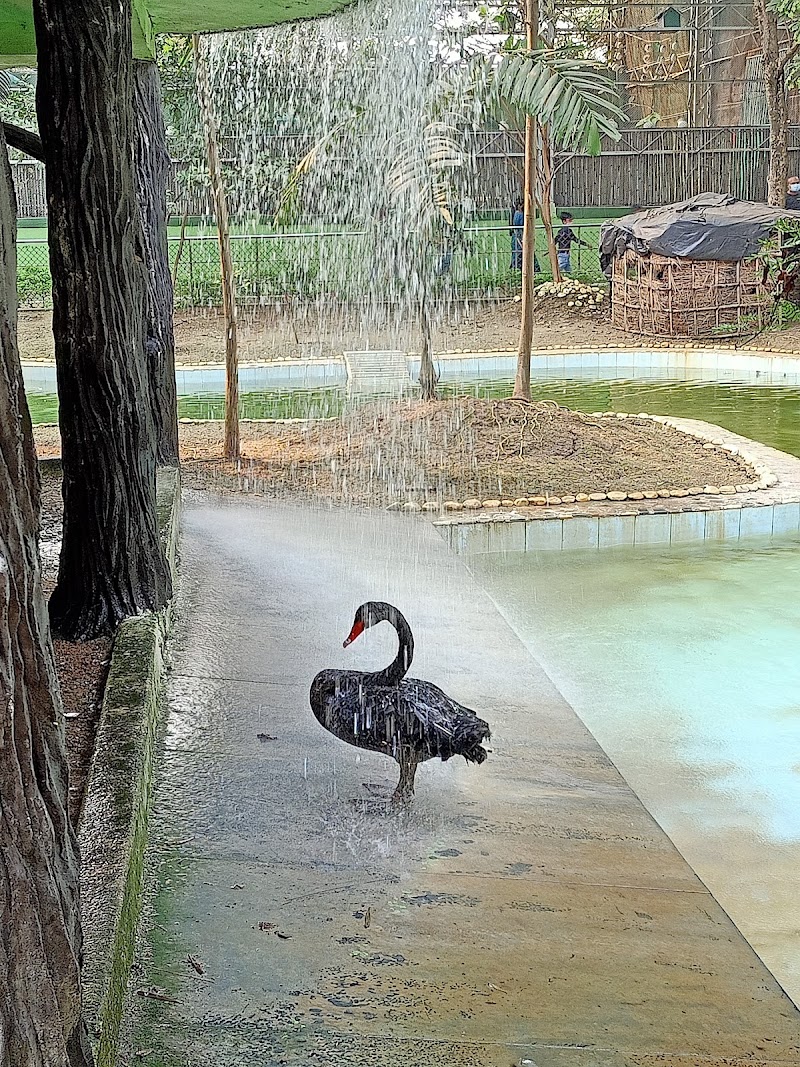 Nandan Van Zoo - Nandan Van Zoo 7GMV+8FV, Atari, Hatband, Chhattisgarh 492099, India