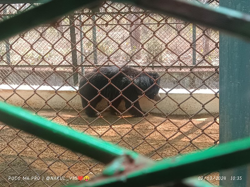 Wild life Sanctuary - Wild life Sanctuary 3QVJ+JHM, Atal Nagar-Nava Raipur, Chhattisgarh 493661, India