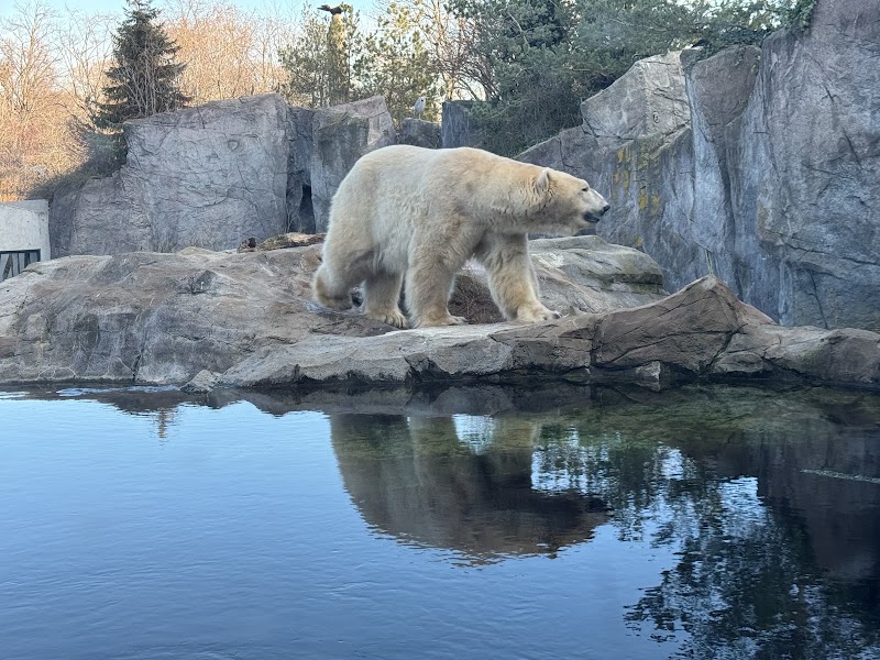 Schönbrunn Zoo - Schönbrunn Zoo, Maxingstraße 13b, 1130 Wien, Austria