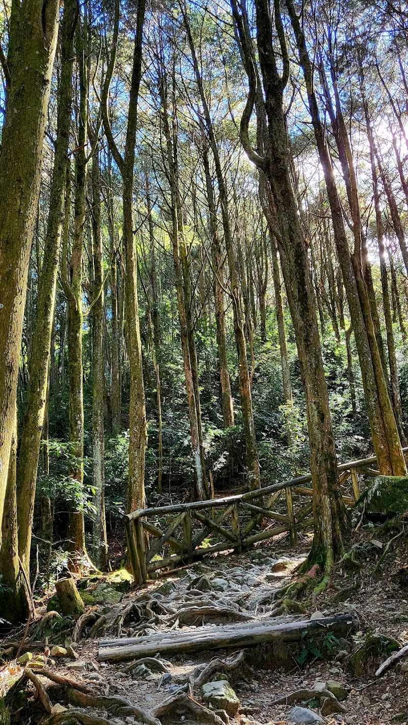 鳶嘴稍來小雪山國家步道木梯 - 鳶嘴稍來小雪山國家步道木梯, Heping District, Taichung City, Taiwan 424