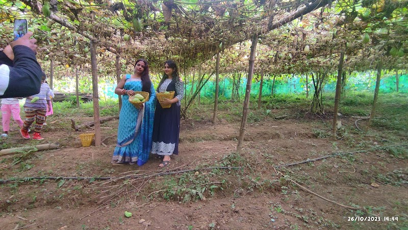 Paradise Point Farmstay - Paradise Point Farmstay 24XW+4XQ, Relling, West Bengal 734201, India