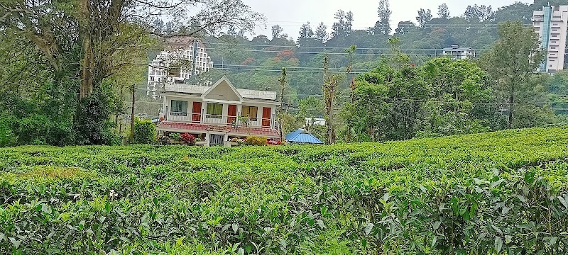 Peace Valley Homestay - Peace Valley Homestay Chithirapuram, Kerala 685565, India