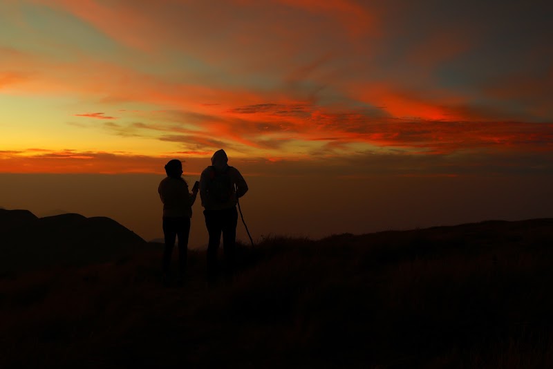Sunrise point - Sunrise point, Kannan Devan Hills, Idukki district, Kerala, India (PIN:, 35RQ+J6M, Kannan Devan Hills, Kerala 685616, India