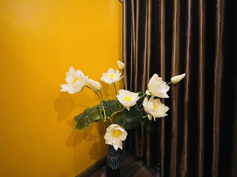 Autumn Hanoi House 61 Bat Su - Autumn Hanoi House 61 Bat Su 61 P. Bát Sứ, Phố cổ Hà Nội, Hoàn Kiếm, Hà Nội 100000, Vietnam