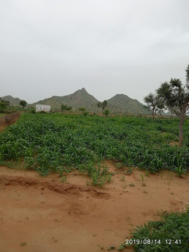 Balera - Balera, Rajasthan 331503, India