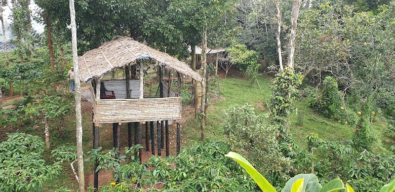LAZY DAYS WAYANAD - LAZY DAYS WAYANAD LAZY DAYS WAYANAD, Purakulam Estate, Post, Cherambadi, Tamil Nadu 643205, India