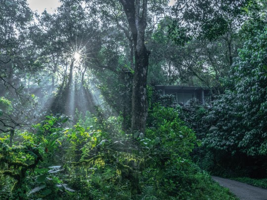 Wayanad Wild - CGH Earth - Wayanad Wild - CGH Earth Lakkidi, Kunnathidavaka, Kerala 673576, India