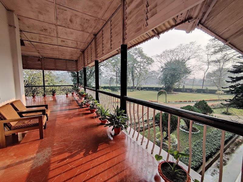 Chameli Memsaab Bungalow - Chameli Memsaab Bungalow, P6FM+M4F, Cinnamara Rd, Maz Gaon, Jorhat, Jorhat CD Block Part, Assam 785008, India