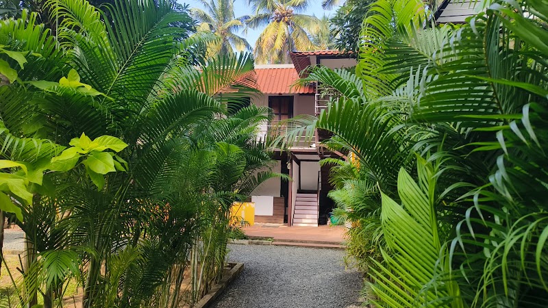 Dejo Serenity Resorts