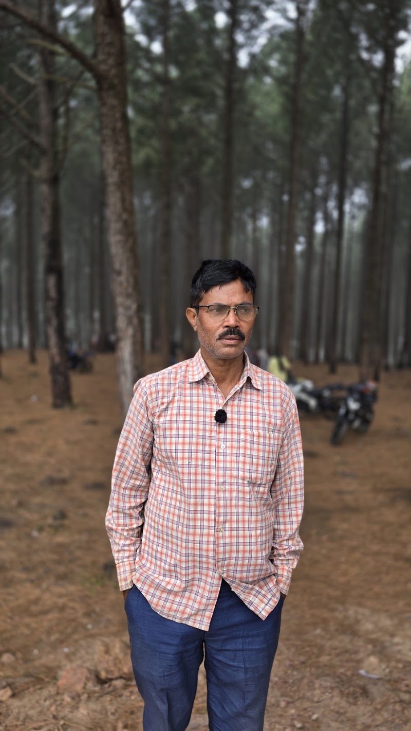Magloniya homestaya Netarhat jharkhand - Magloniya homestaya Netarhat jharkhand DSP compund, Village, sarna toli, Netarhat, Jharkhand 835218, India