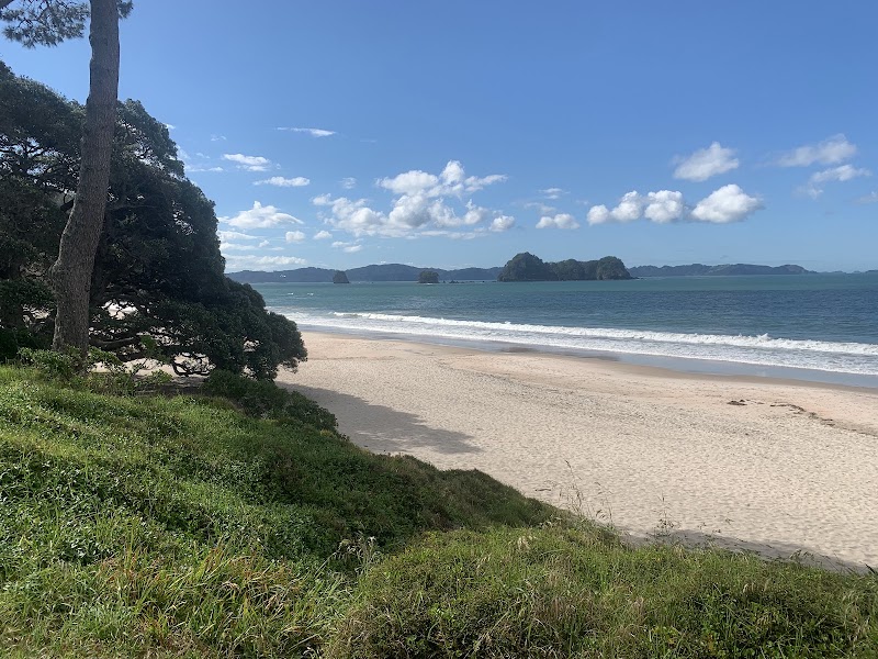 Hahei Beach