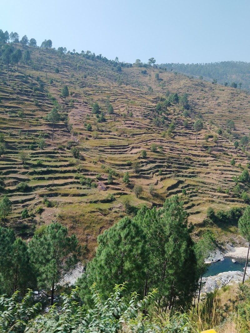 Almora hills - Almora hills HJWX+FX2, Unnamed Road, Paltan Bazar, Khatyari, Almora, Sarso, Uttarakhand 263601, India