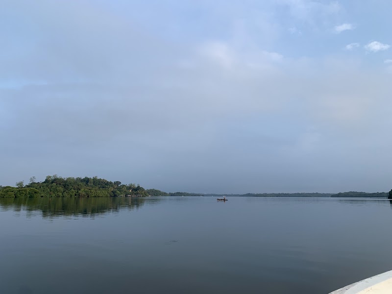 Madu Ganga Boat Safari - Madu Ganga Boat Safari, Keheli Wadaduwa, road, Balapitiya 80550, Sri Lanka