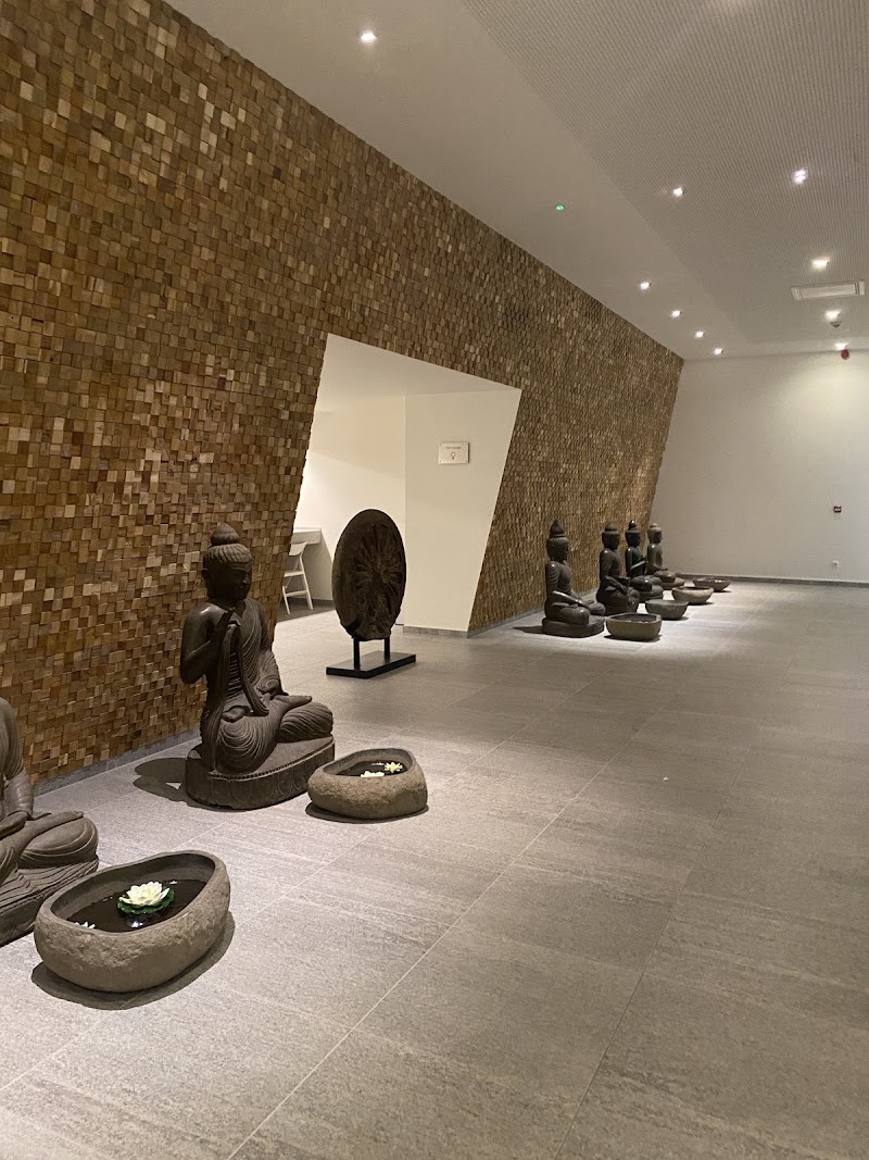 Elaisa Energetic Wellness - Elaisa Energetic Wellness, Nationaal Parklaan 5, 3650 Dilsen-Stokkem, Belgium
