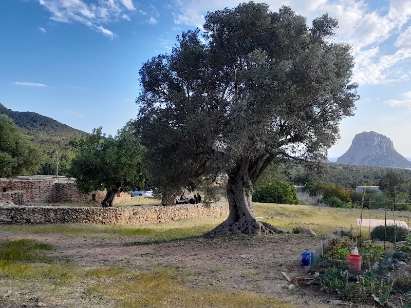 Ses Paisses de Cala D’Hort - Extensio del Museo - Ses Paisses de Cala D’Hort - Extensio del Museo, Diseminado Ses Paisses, 248, 07830 Sant Josep de sa Talaia, Illes Balears, Spain