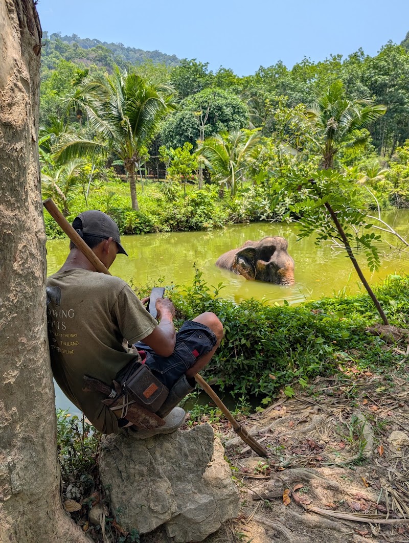 Following Giants Koh Lanta Ethical Elephant Sanctuary - Following Giants Koh Lanta Ethical Elephant Sanctuary, Klong Chak Waterfall RD, Tambon Ko Lanta Yai, Amphoe Ko Lanta, Chang Wat Krabi 81150, Thailand