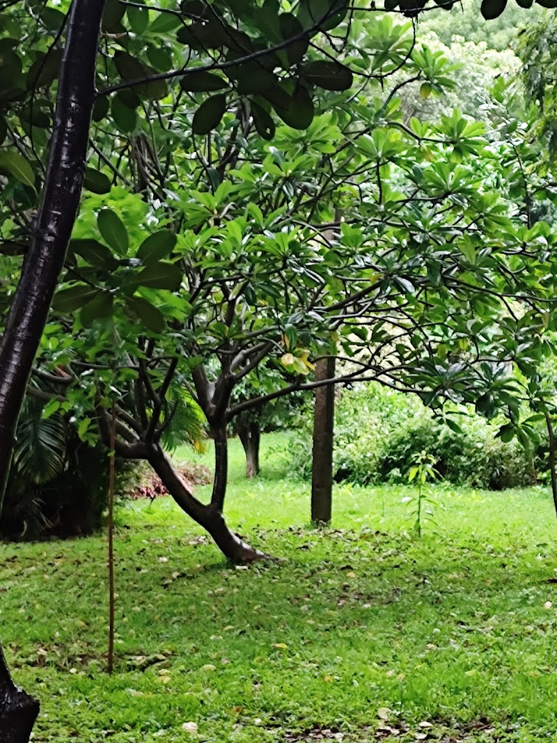Sri SK Nataraj Park - Sri SK Nataraj Park WH5J+8H2, 1st Phase, J. P. Nagar, Bengaluru, Karnataka 560078, India