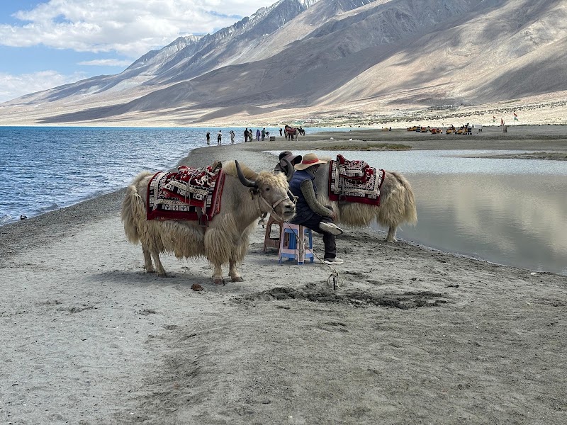 Pangong lake view - Pangong lake view XC8C+CH3, Ladakh, 194101