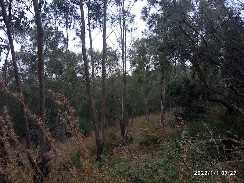 Nandi Hills Trail head - Nandi Hills Trail head, 9M7M+HFH, Nandi Hills Main Rd, Nandi Hills, Karnataka 562103, India