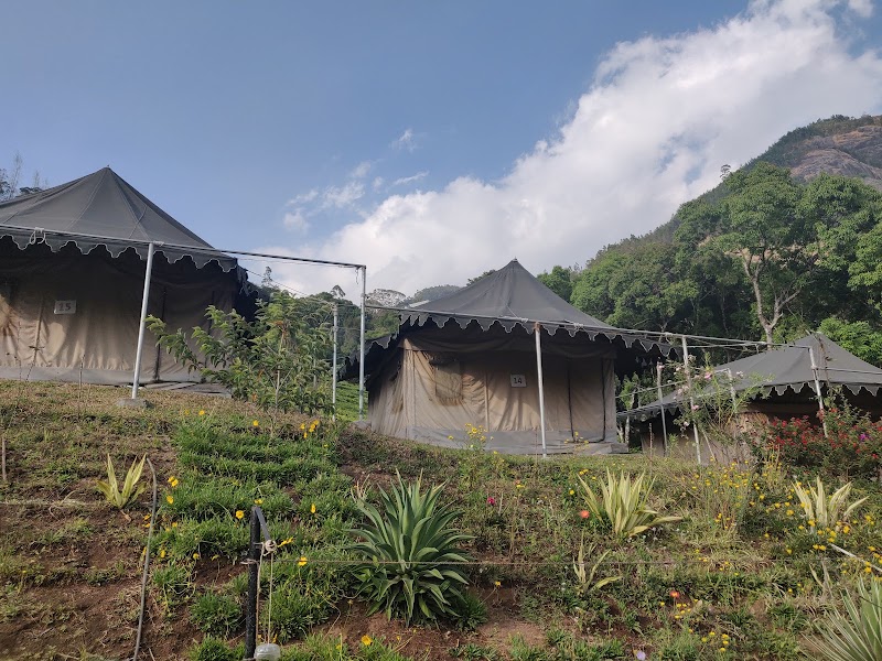 Kalypso Camp - Kalypso Camp, Shanmughavilasam Estate Rd, Suryanelli, Kerala 685618, India