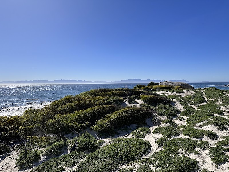 Foxy Beach - Foxy Beach, Kleintuin Rd, Simon's Town, Cape Town, 7995, South Africa
