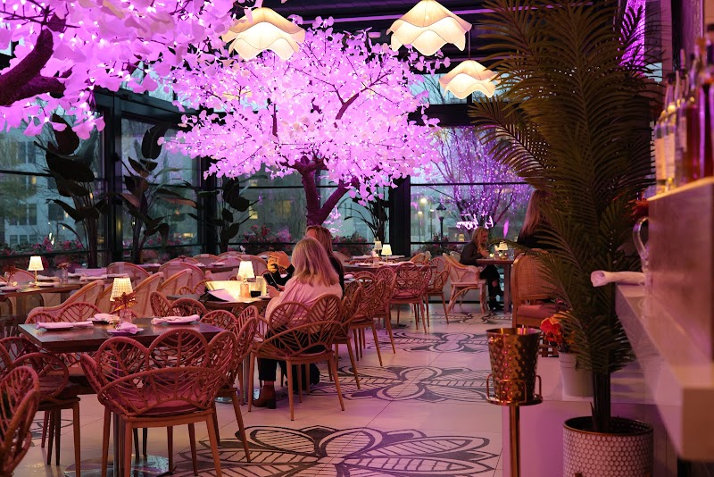 Bloom Room Social | Best Brunch in Suwanee, GA - Bloom Room Social | Best Brunch in Suwanee, GA 350 Town Center Ave Ste 100A, Suwanee, GA 30024, USA