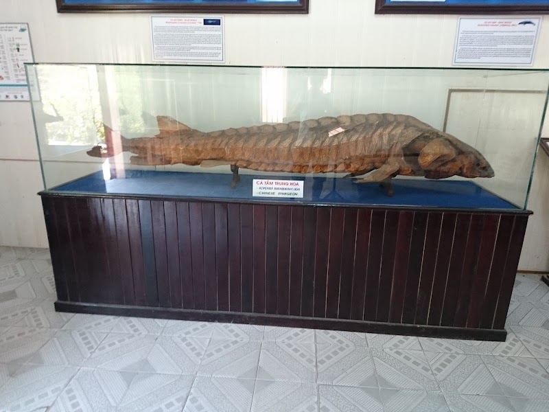 Museum of Oceanography - Museum of Oceanography 1 Cầu Đá - Hòn Một, Cầu Đá, Nha Trang, Khánh Hòa 650000, Vietnam