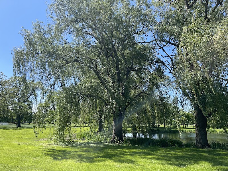 Douglass (Anna and Frederick) Park - Douglass (Anna and Frederick) Park 1401 S Sacramento Dr, Chicago, IL 60623, USA