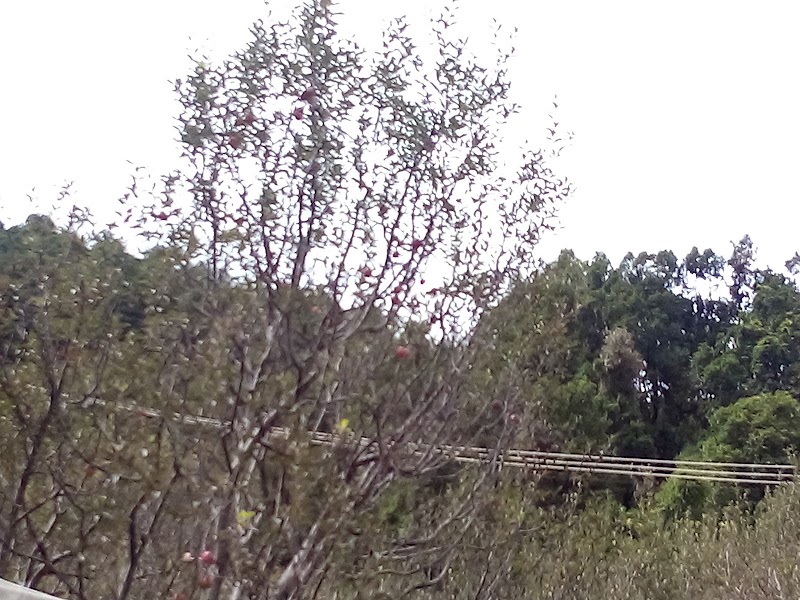 BRC Ramgarh - BRC Ramgarh, CHV6+G3V, Kaichi - Ramgarh Rd, Ramgarh, Bohrakote, Uttarakhand 263137, India