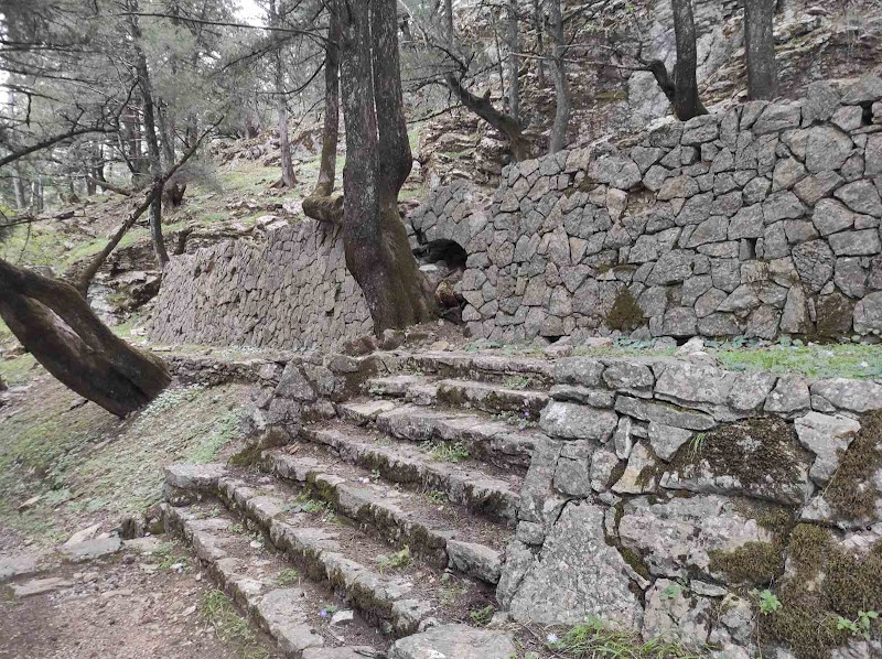 Profitis Ilias - Profitis Ilias Profitis Ilias, Kameiros 851 06, Greece