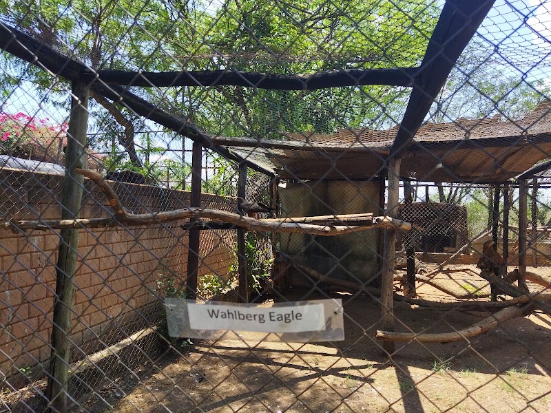Chipangali Wildlife Orphanage - Chipangali Wildlife Orphanage, gwanda road, Bushtick, Zimbabwe