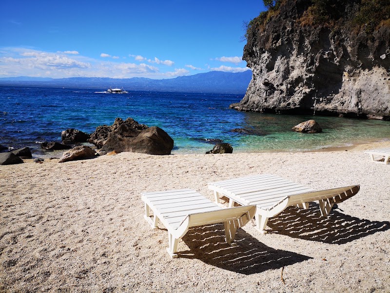 Apo Island Beach Resort - Apo Island Beach Resort, Apo Island, Dauin, 6217 Negros Oriental, Philippines