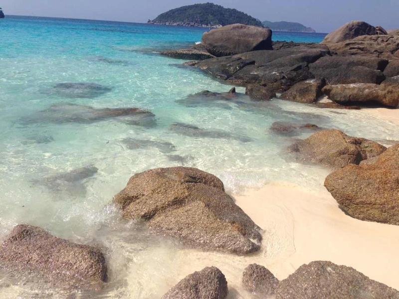 Similan Islands Liveaboard Expedition - Similan Islands Liveaboard Expedition 31/13 Moo 6 Khao Lak, ตำบลคึกคัก อำเภอตะกั่วป่า พังงา 82190, Thailand