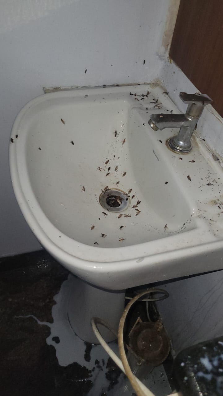 I Care Godrej Pest Control Services - I Care Godrej Pest Control Services, Govindraj nagar, Govindaraja Nagar Ward, Govindaraja Nagar, Vijayanagar, Bengaluru, Karnataka 560040, India