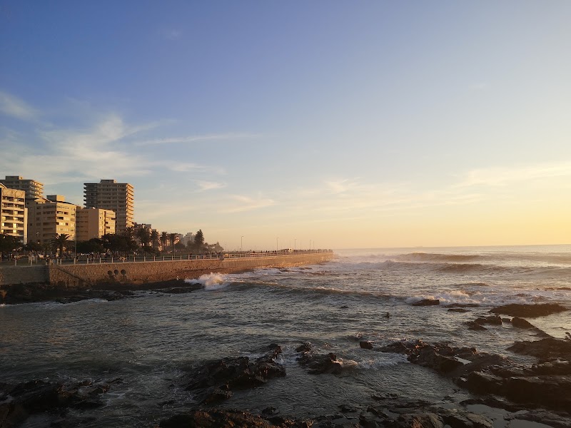 Sea Point Promenade - Sea Point Promenade, Sea Point, Cape Town, 8005, South Africa