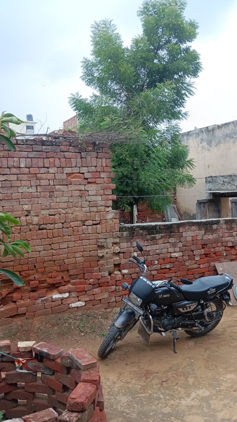 Home - Home, PC4Q+JW, Sewana, Haryana 124202, India