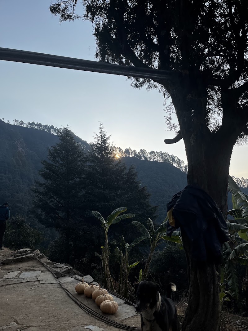 Gods Eye - Gods Eye, H5W9+8F6, Dhari, Himpani, Uttarakhand 262501, India