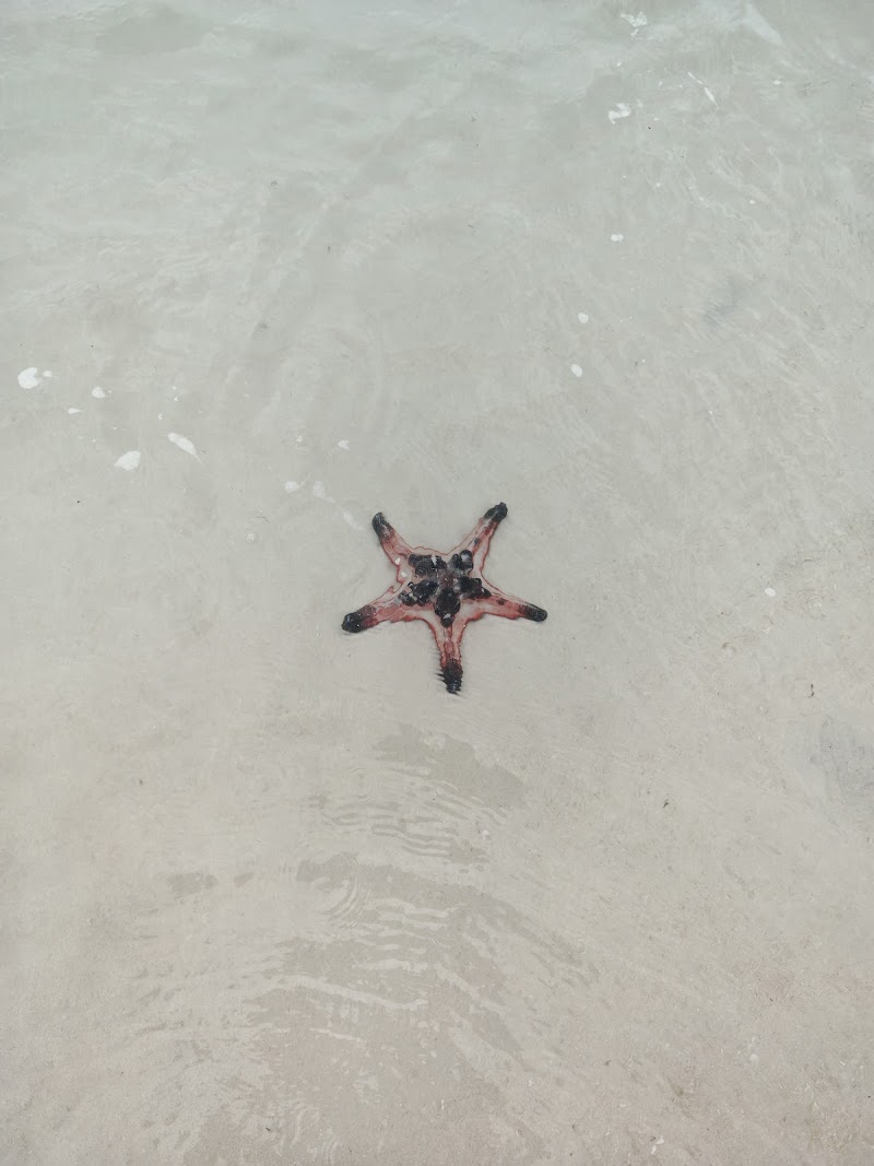 Sao beach, Phuoc Quoc, Vietnam - Sao beach, Phuoc Quoc, Vietnam, 323P+M58, Kien Giang, Vietnam