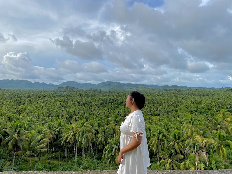 Coconut Road - Coconut Road, R383+RWW, Siargao Circumferential Rd, Pilar, Surigao del Norte, Philippines