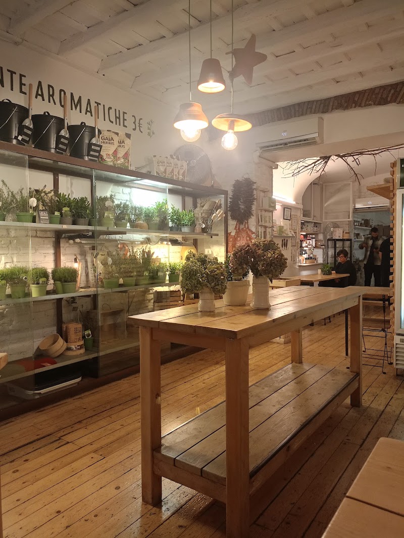 Aromaticus Monti - Aromaticus Monti Via Urbana, 134, 00184 Roma RM, Italy
