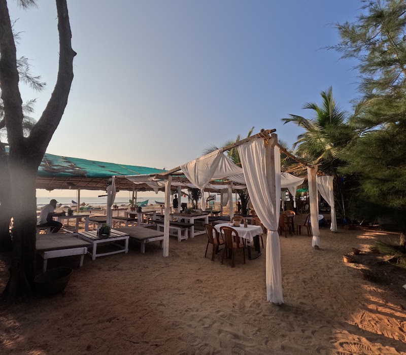 Tune of Ocean Beach Stay and Cafe | Best in Gokarna - Tune of Ocean Beach Stay and Cafe | Best in Gokarna Tune of Ocean @Gokarna Pristine Beach, bhavikodla beach road, Dubbanashashi, gokarna, Gokarna, Karnataka 581319, India