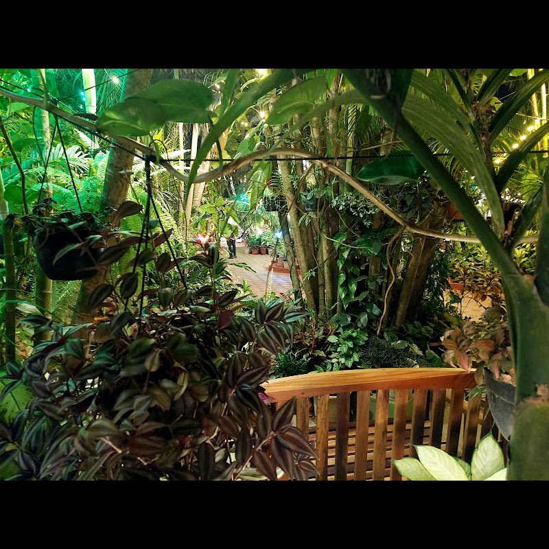 Palm Grove Cottages - Leisure Resort - Palm Grove Cottages - Leisure Resort House No. 1678, Tamdi Mati, Vaswado, Benaulim, Goa 403716, India